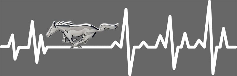 auto pulse1