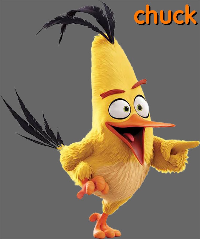 Majica ili Hoodie Angry Birds 5