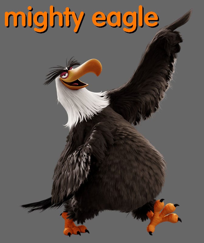 Majica ili Hoodie Angry Birds 5