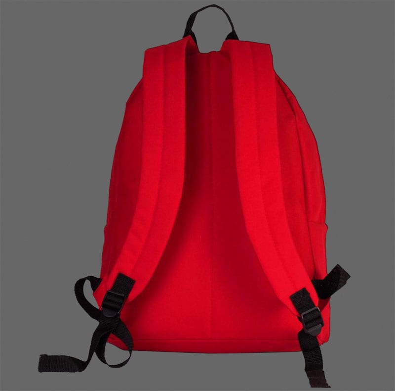 backpack1 back