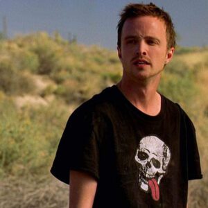 Majica ili Hoodie Pinkman Skull